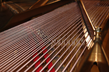 Piano Wires 1