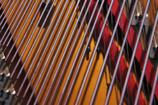 Piano Wires 2