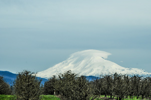 Mount Baker in Washington