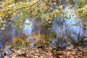 Fall on the Delaware River, New Jersey