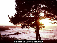 Webcam at Agate Cove Inn